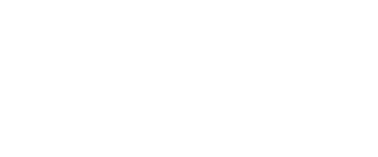 Logo Zona 5R